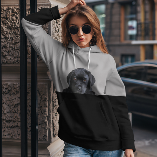 Can You See Me - Labrador Hoodie V1