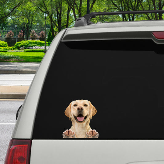 Can You See Me Now - Labrador Car/ Door/ Fridge/ Laptop Sticker V2