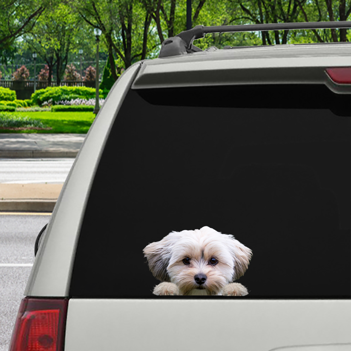 Can You See Me Now - Morkie Car/ Door/ Fridge/ Laptop Sticker V1