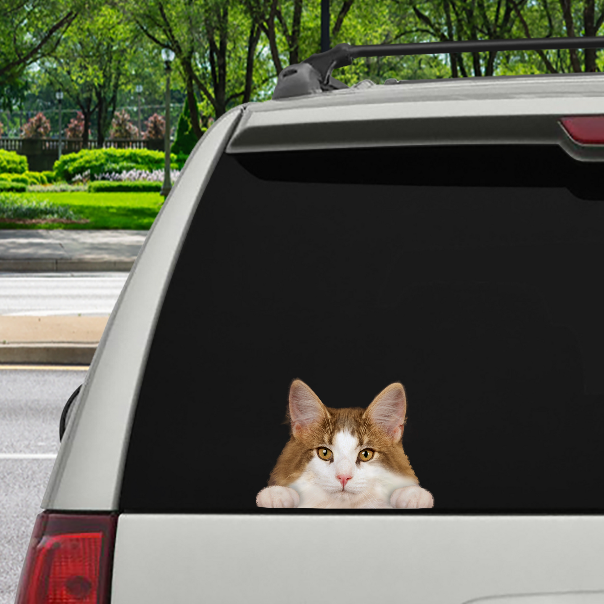 Can You See Me Now - Norwegian Forest Cat Car/ Door/ Fridge/ Laptop Sticker V2