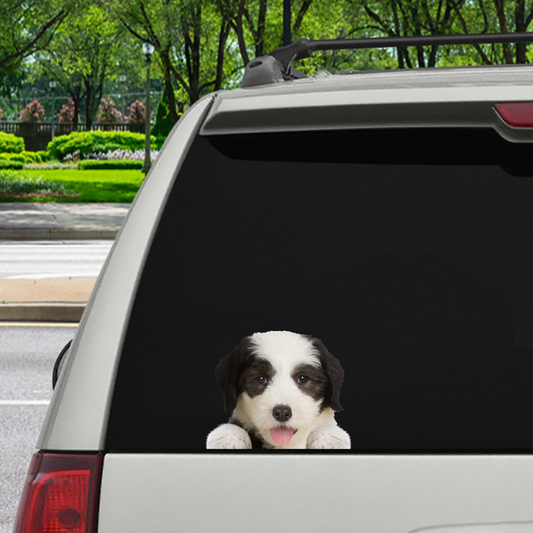 Can You See Me Now - Old English Sheepdog Car Sticker V3