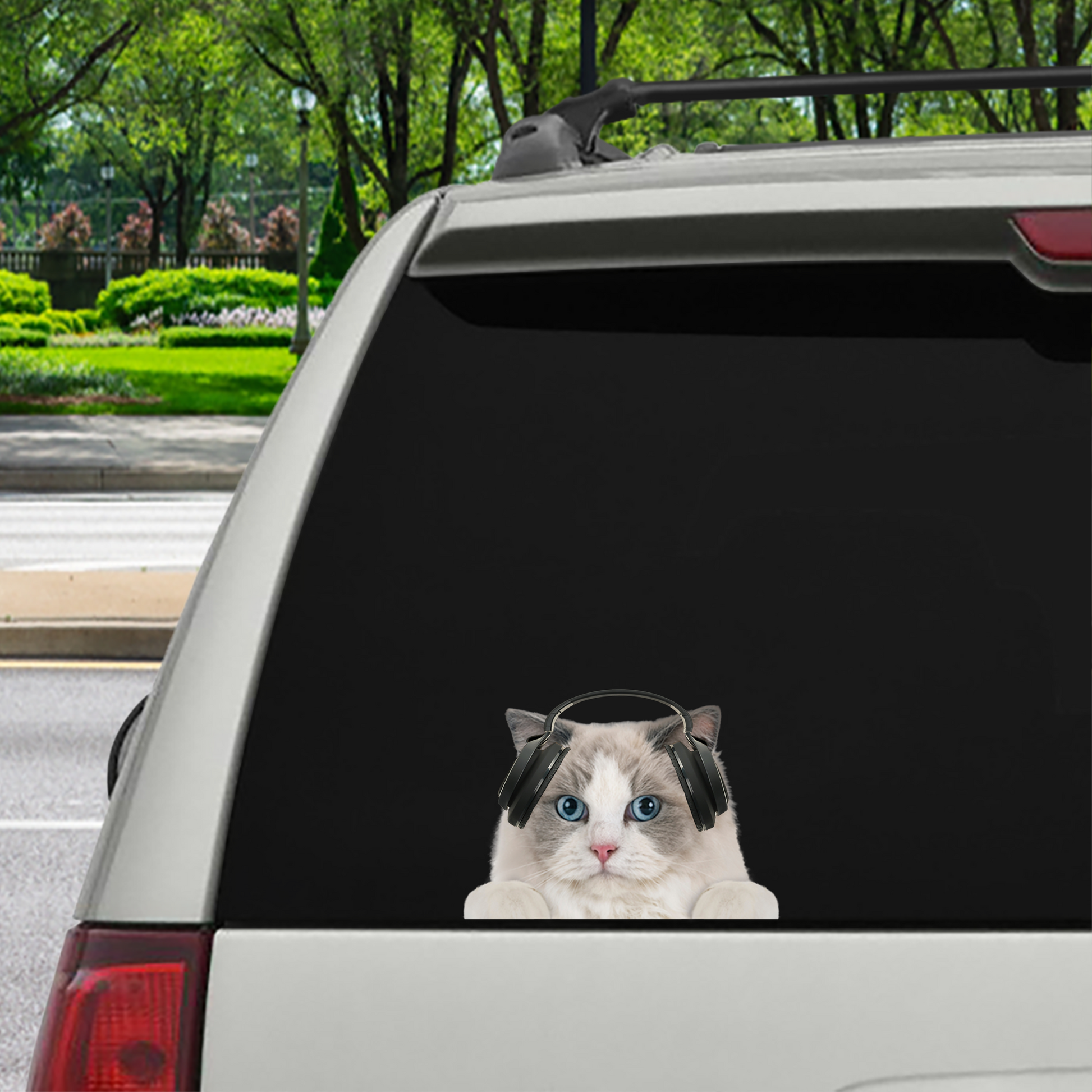 Can You See Me Now - Ragdoll Cat Car/ Door/ Fridge/ Laptop Sticker V3