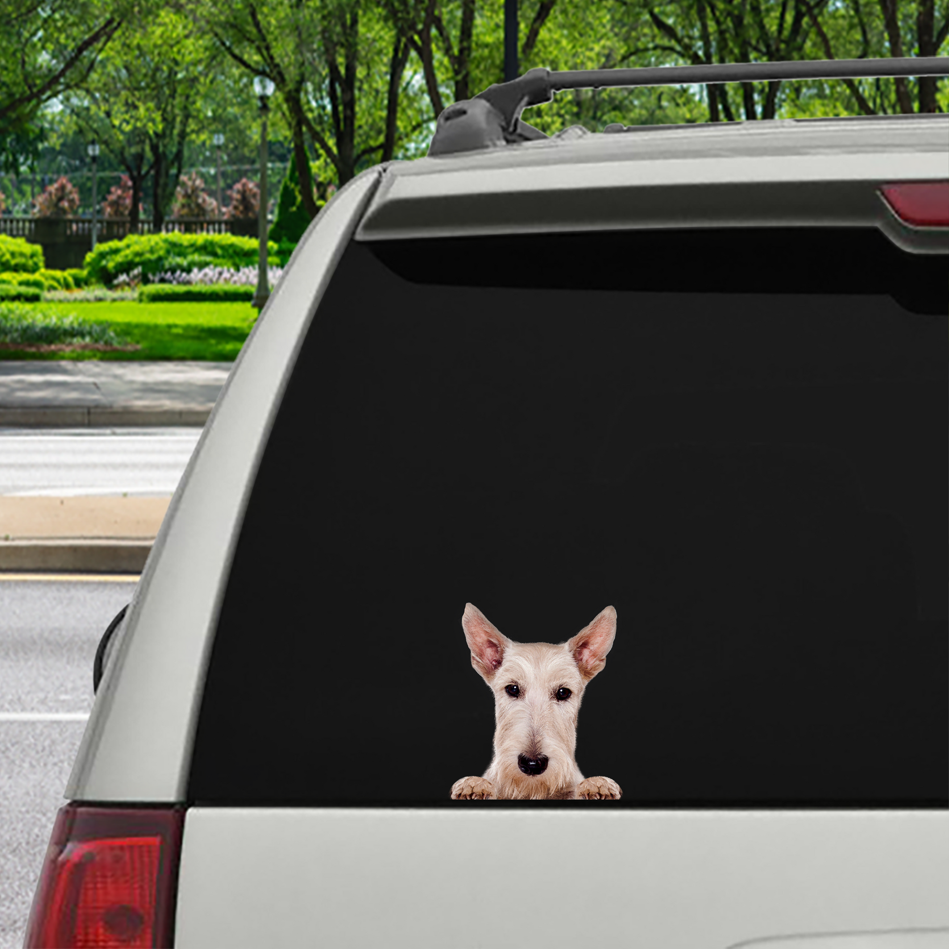 Can You See Me Now - Scottish Terrier Car/ Door/ Fridge/ Laptop Sticker V1
