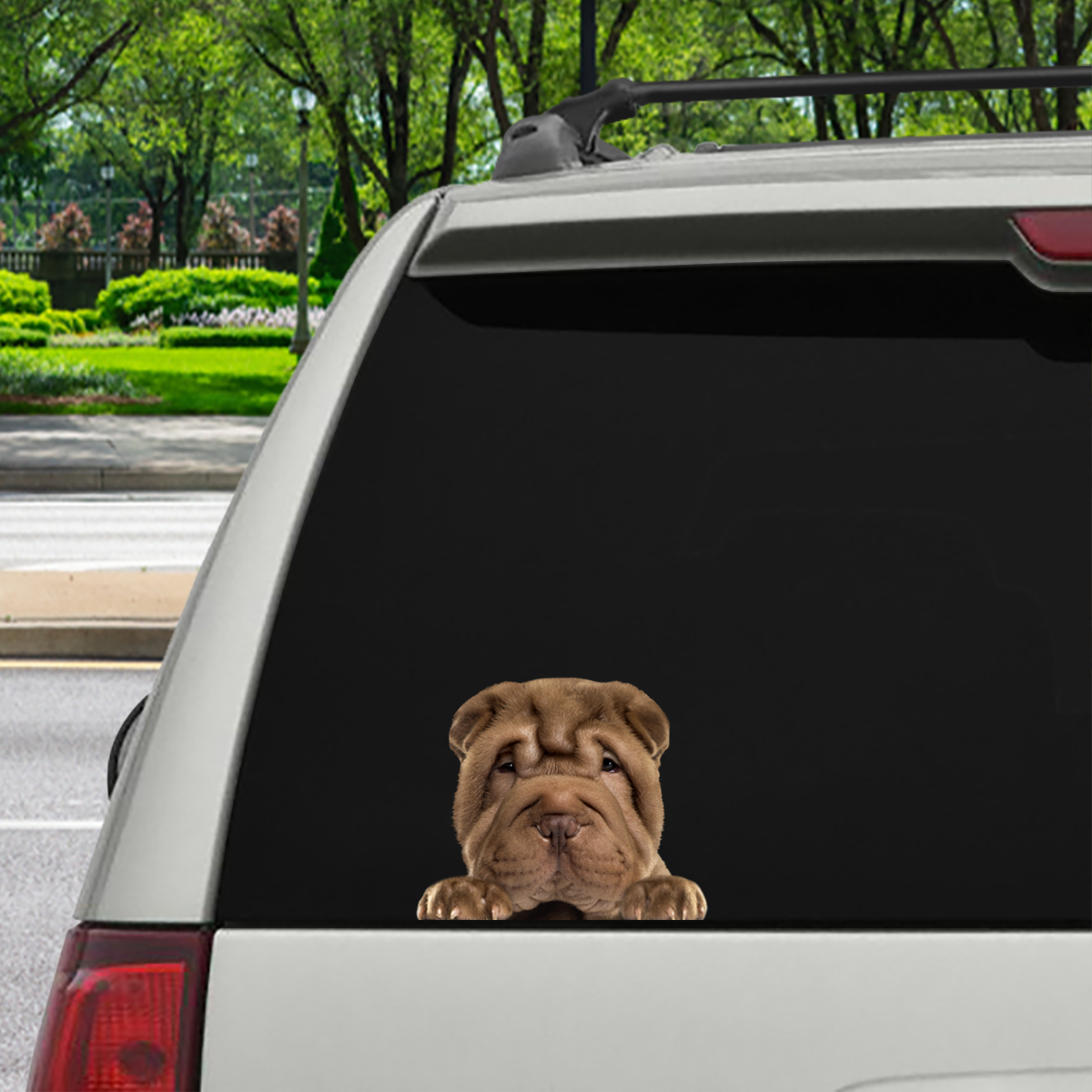 Can You See Me Now - Shar Pei Car/ Door/ Fridge/ Laptop Sticker V3