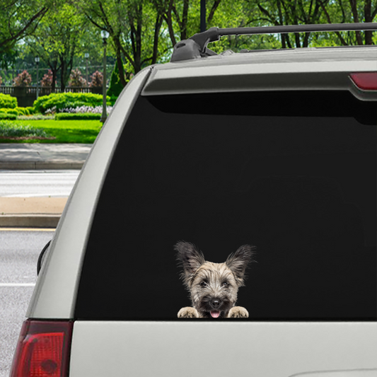 Can You See Me Now - Skye Terrier Car/ Door/ Fridge/ Laptop Sticker V1