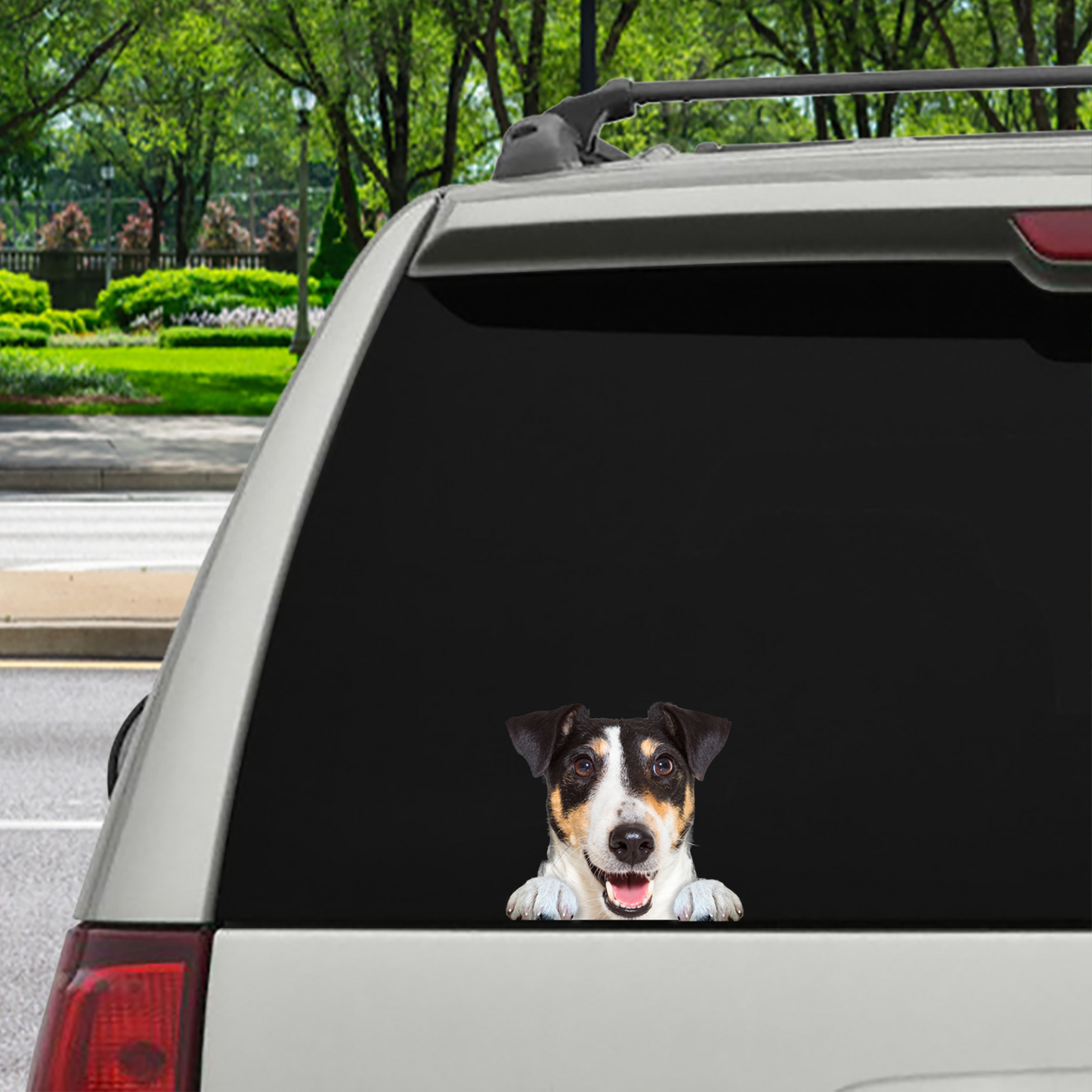 Can You See Me Now - Smooth Fox Terrier Car/ Door/ Fridge/ Laptop Sticker V1