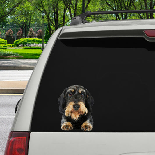 Can You See Me Now - Wire Haired Dachshund Car/ Door/ Fridge/ Laptop Sticker V1