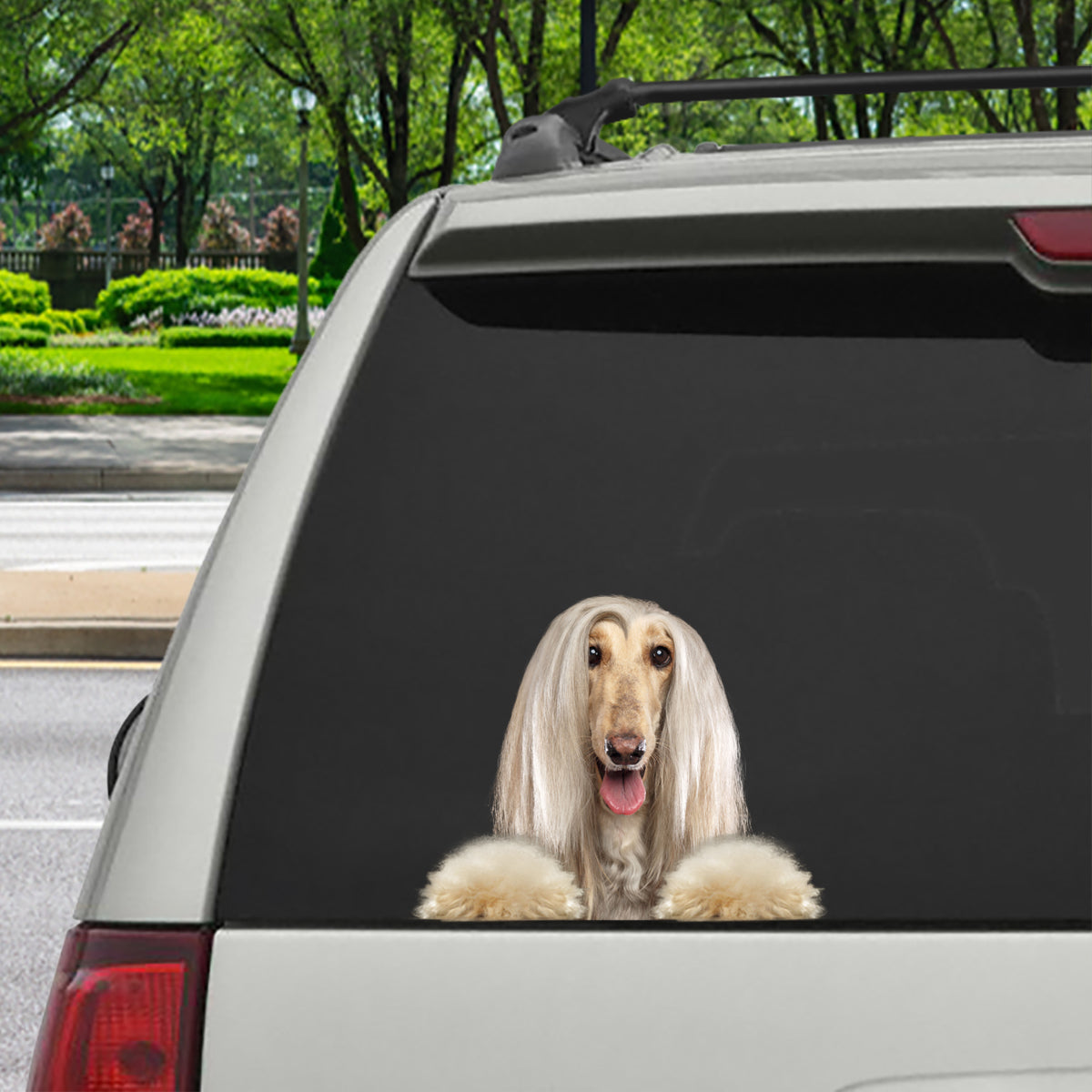 Can You See Me Now - Afghan Hound Car/ Door/ Fridge/ Laptop Sticker V1