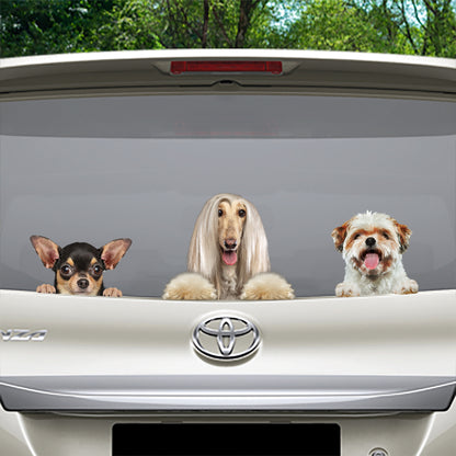 Can You See Me Now Sticker - 2