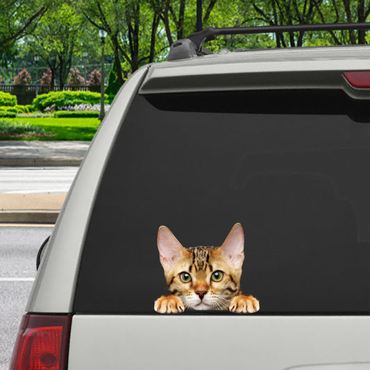 Can You See Me Now - Bengal Cat Car/ Door/ Fridge/ Laptop Sticker V1