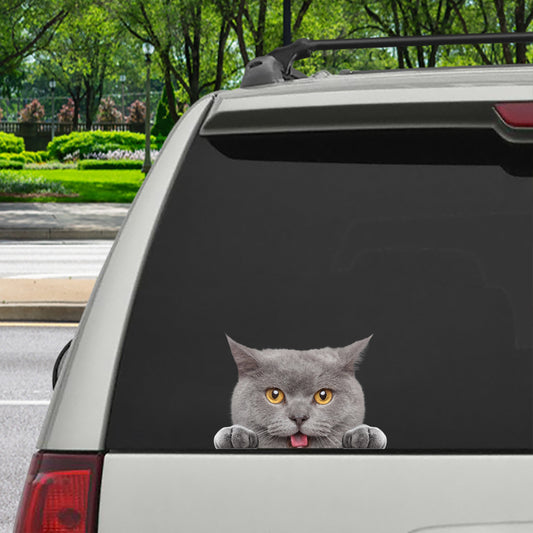 Can You See Me Now - British Shorthair Cat Car/ Door/ Fridge/ Laptop Sticker V1