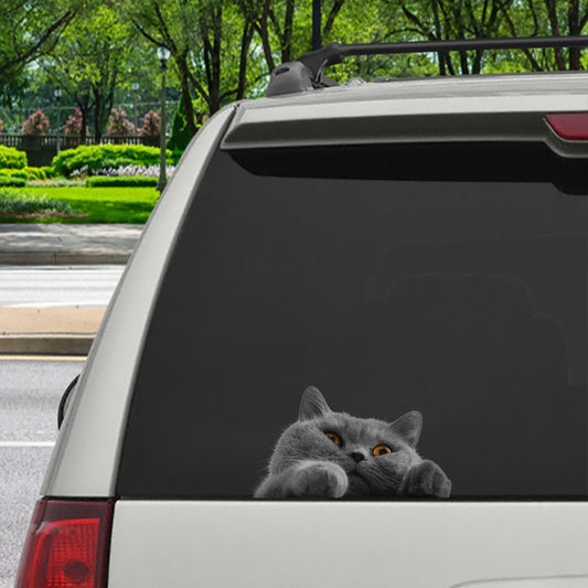 Can You See Me Now - British Shorthair Cat Car/ Door/ Fridge/ Laptop Sticker V2