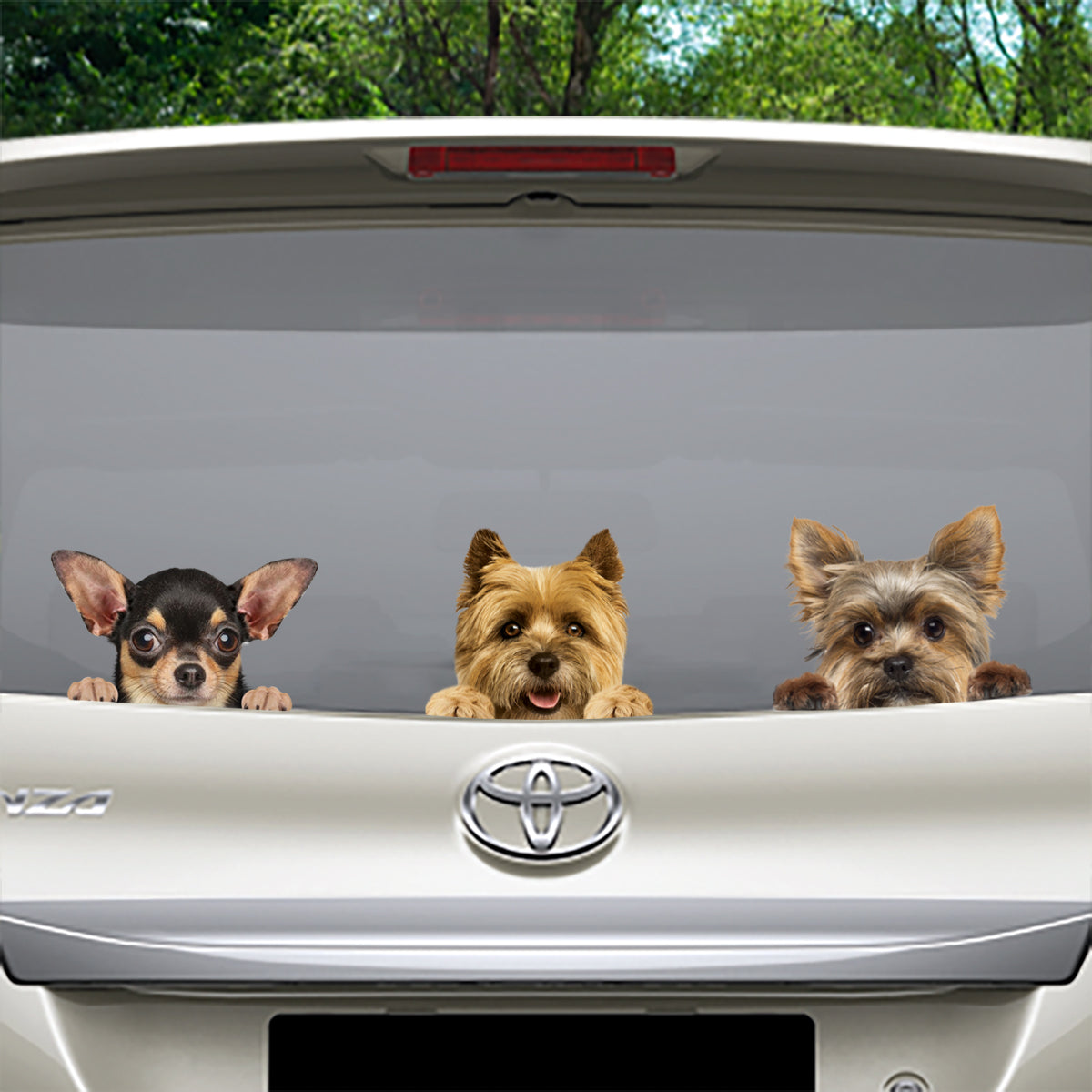 Can You See Me Now Sticker - 2