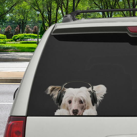 Can You See Me Now - Chinese Crested Car/ Door/ Fridge/ Laptop Sticker V2