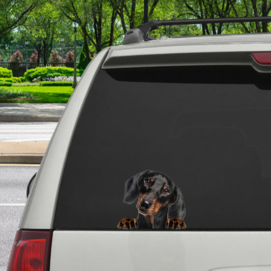 Can You See Me Now - Dachshund Car/ Door/ Fridge/ Laptop Sticker V3