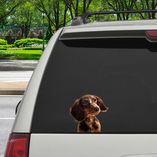 Can You See Me Now - Dachshund Car/ Door/ Fridge/ Laptop Sticker V4