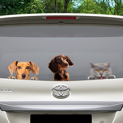 Can You See Me Now Sticker - 2