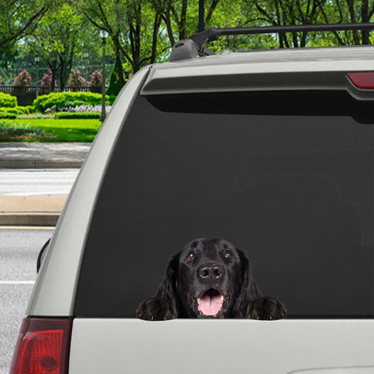 Can You See Me Now - Flat Coated Retriever Car/ Door/ Fridge/ Laptop Sticker V1