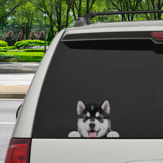 Can You See Me Now - Husky Car/ Door/ Fridge/ Laptop Sticker V1