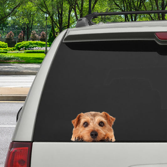 Can You See Me Now - Norfolk Terrier Car/ Door/ Fridge/ Laptop Sticker V1