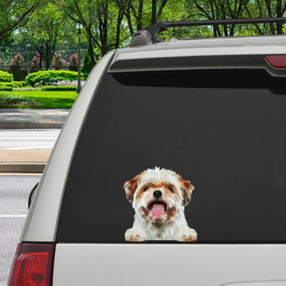 Can You See Me Now - Shih Tzu Car/ Door/ Fridge/ Laptop Sticker V3