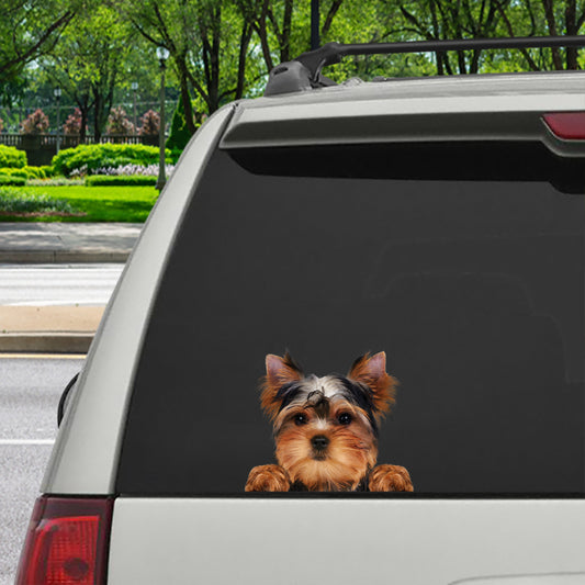 Can You See Me Now - Yorkshire Terrier Car/ Door/ Fridge/ Laptop Sticker V2