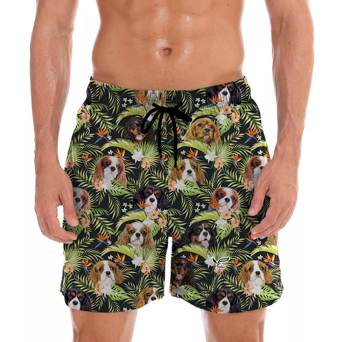 Cavalier King Charles Spaniel – Hawaii-Shorts V5