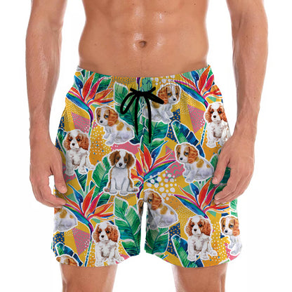 Cavalier King Charles Spaniel – Hawaii-Shorts V1