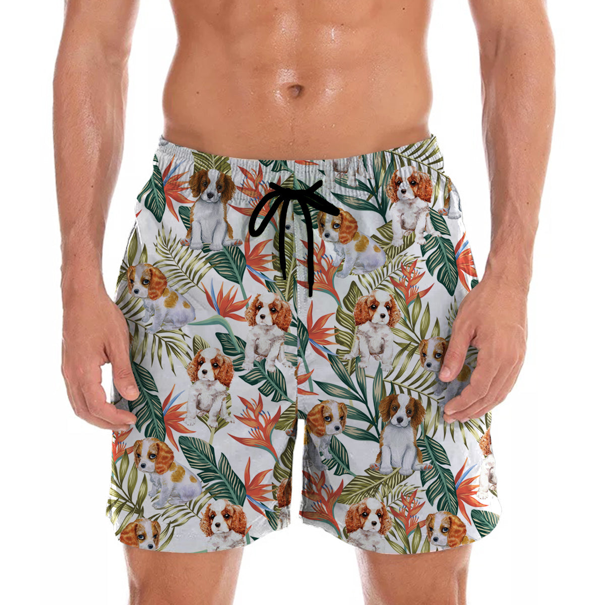 Cavalier King Charles Spaniel - Hawaiian Shorts V2