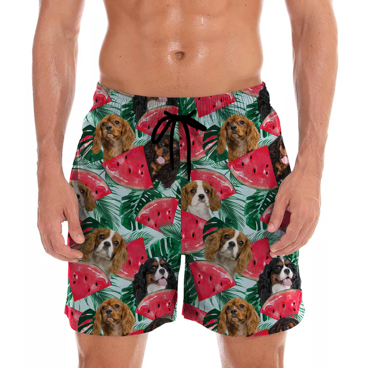 Cavalier King Charles Spaniel – Hawaii-Shorts V4