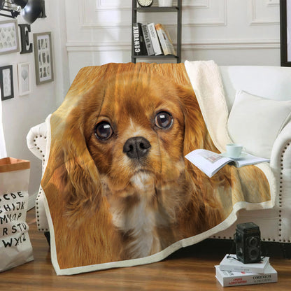 Cavalier King Charles Spaniel - Blanket V5