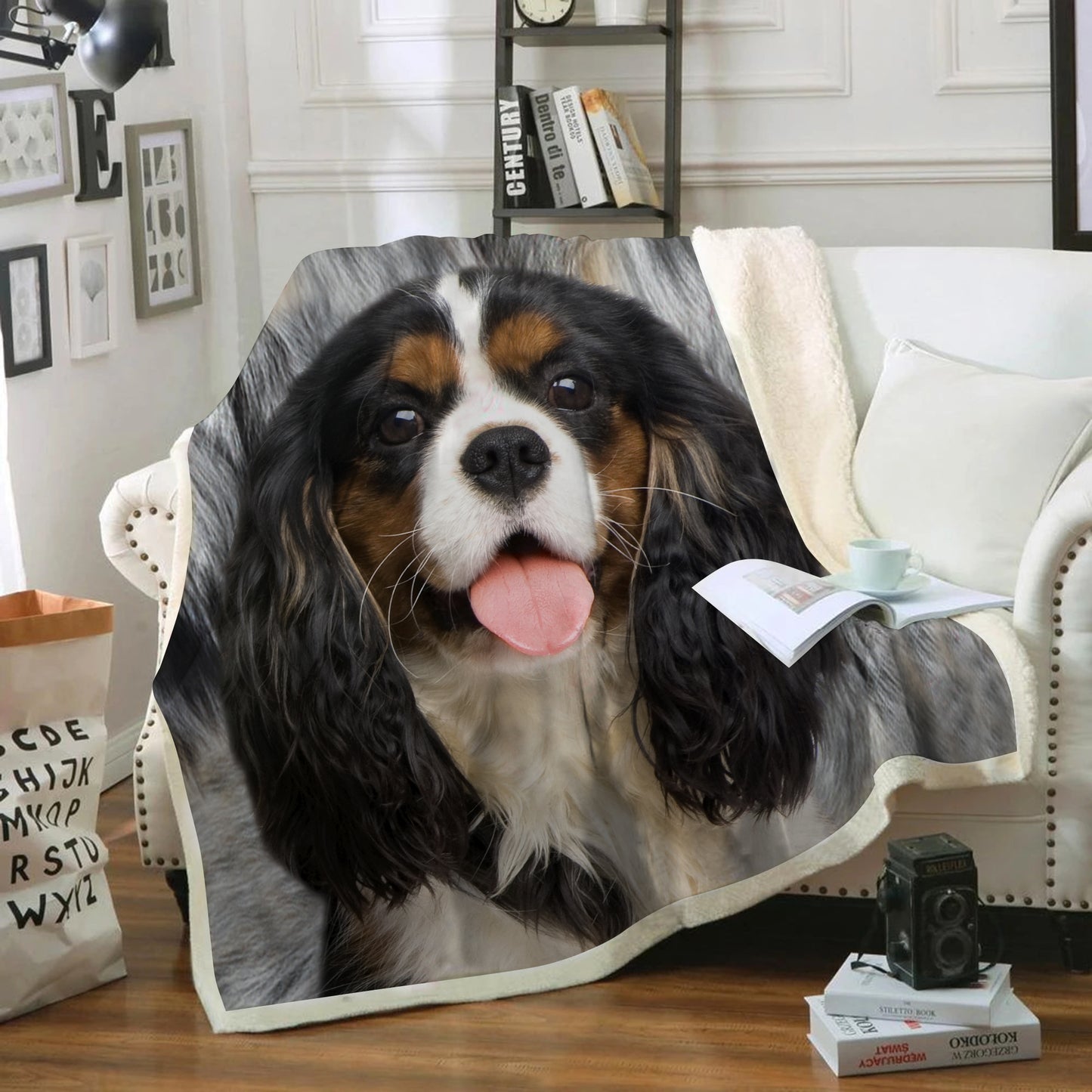 Cavalier King Charles Spaniel - Couverture V6