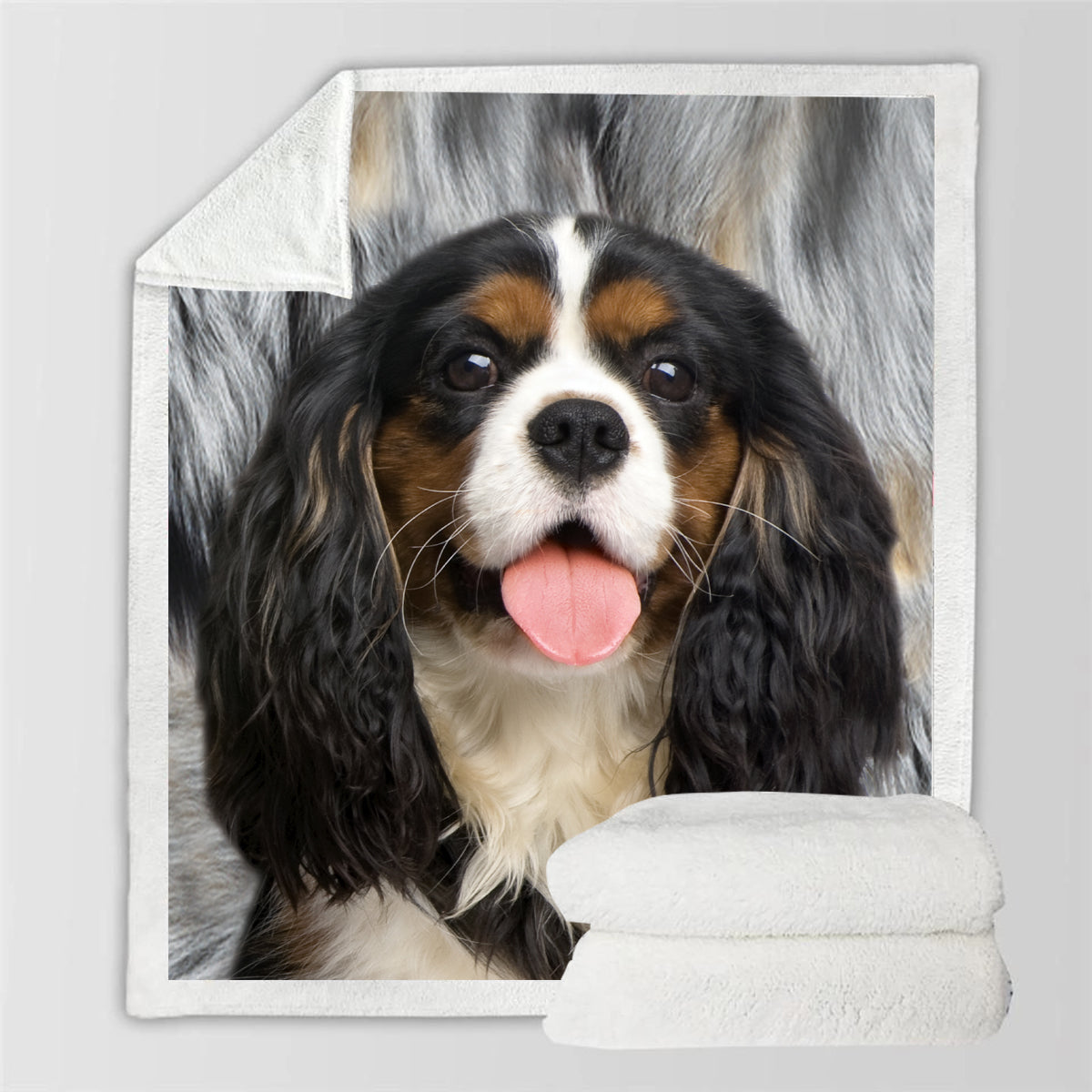 Cavalier King Charles Spaniel - Decke V6