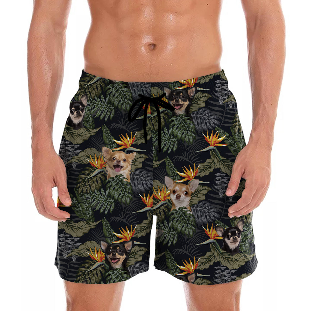 Chihuahua - Hawaiian Shorts V2