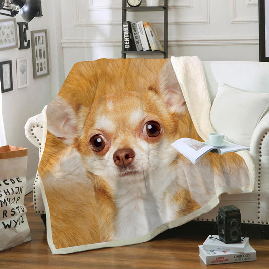 Chihuahua - Blanket V6