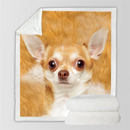 Chihuahua - Blanket V6