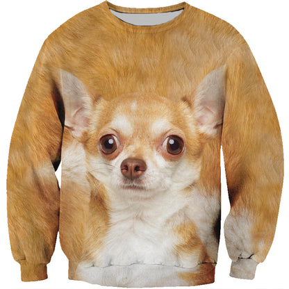 Chihuahua-Sweatshirt V2