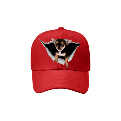 Fan Club Chihuahua - Chapeau V5