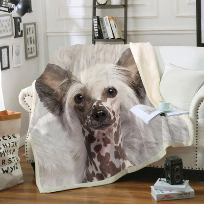 Chinese Crested - Blanket V1