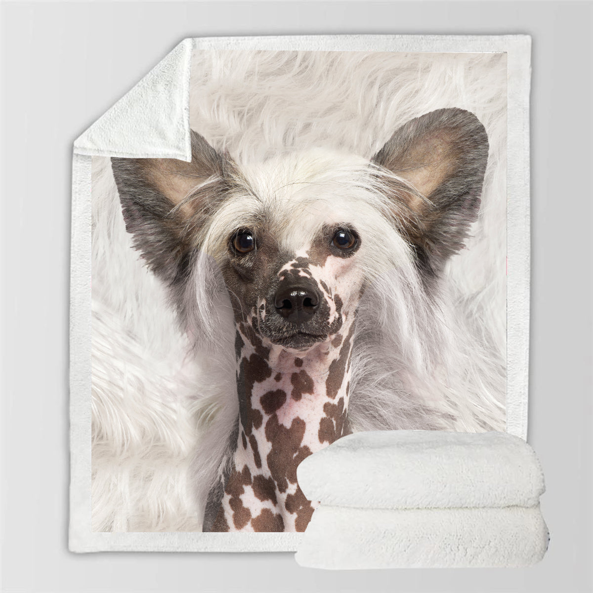 Chinese Crested - Blanket V1