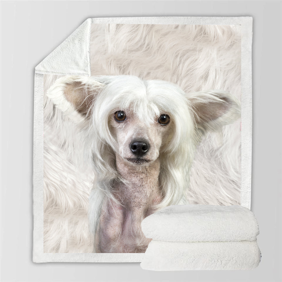 Chinese Crested - Decke V2