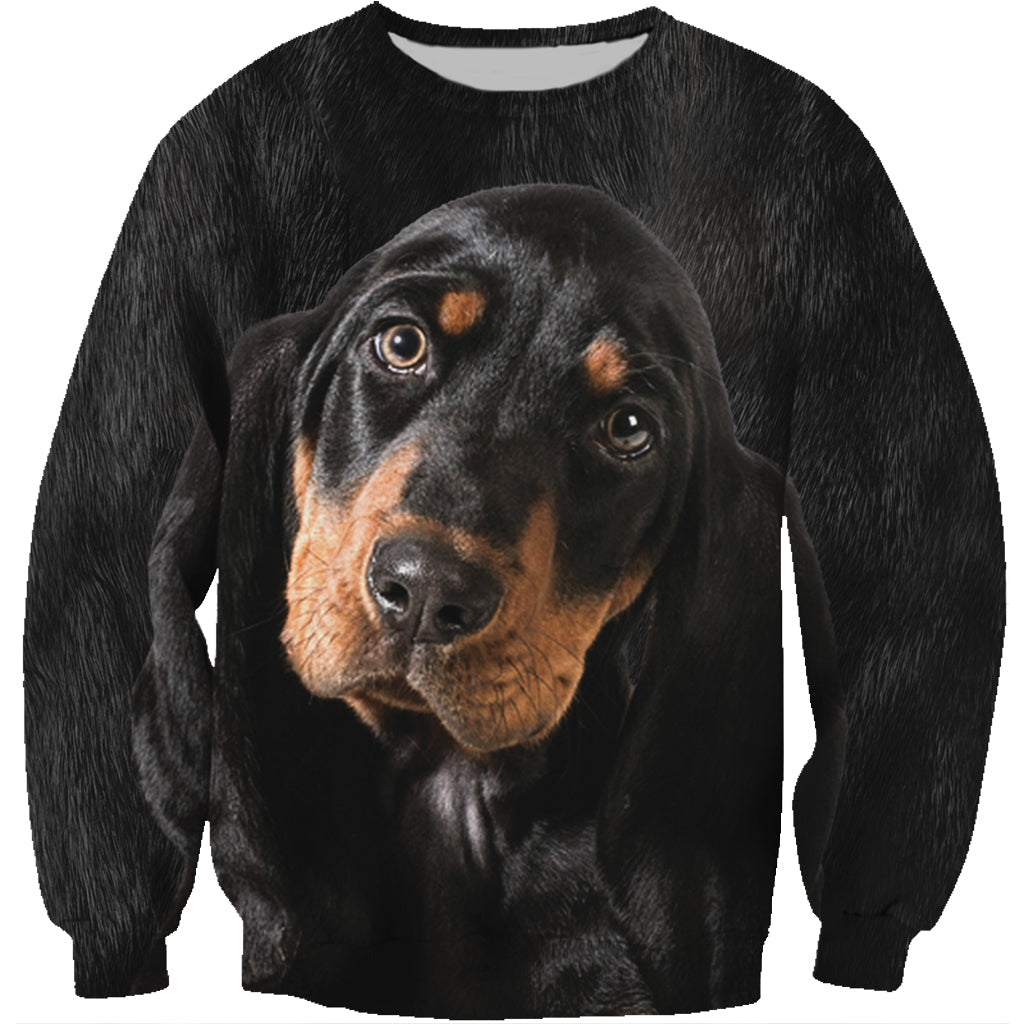 Sweat Coonhound V1