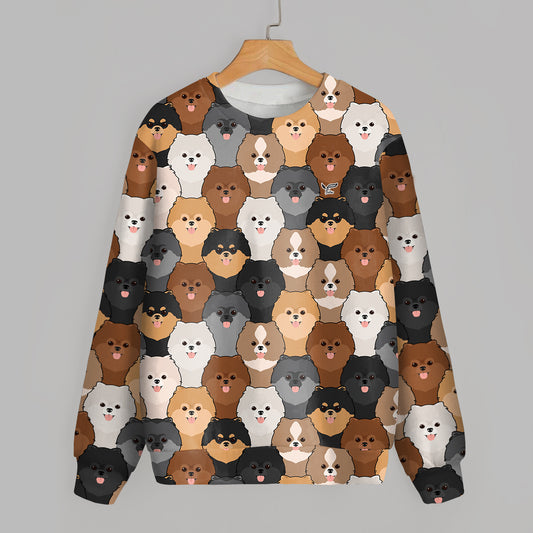Cute Cartoon Pomeranians - Follus Sweatshirt