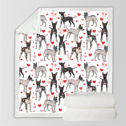Mignon American Hairless Terrier - Couverture V1