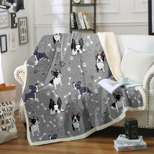 Cute Boston Terrier - Blanket V2
