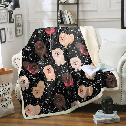 Cute Pomeranian - Blanket V1