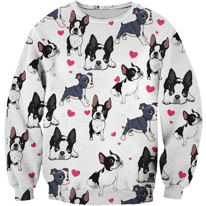Süßer Boston Terrier - Sweatshirt V1