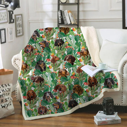 Dachshund - Colorful Blanket V1