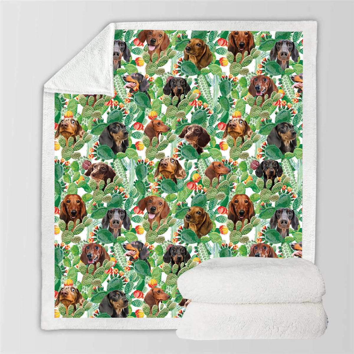 Dachshund - Colorful Blanket V1