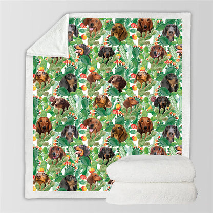 Dachshund - Colorful Blanket V1